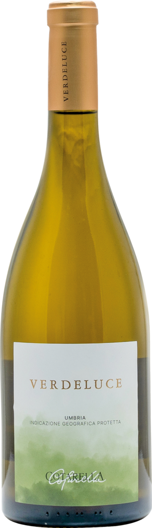2024 Verdeluce Bianco