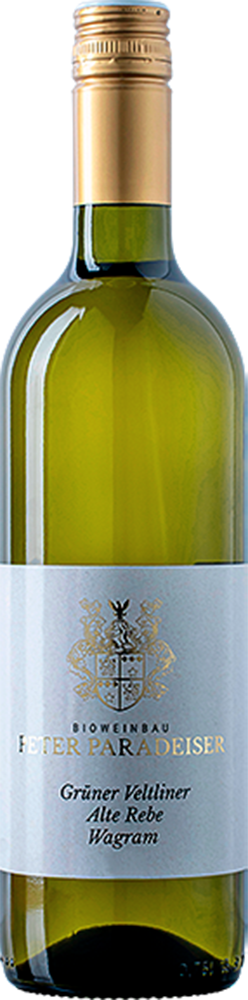 2023 Grüner Veltliner Alte Rebe BIO