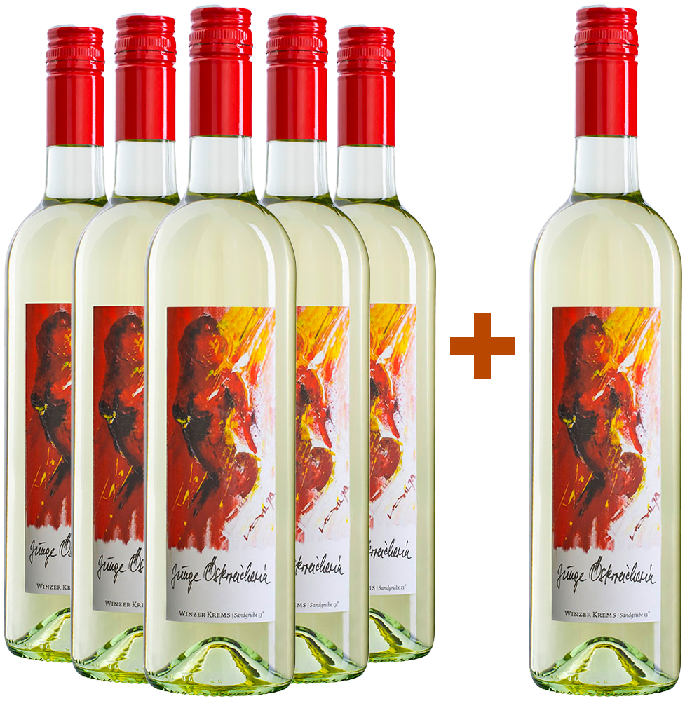 5+1 DIE "Junge ÖsterreicherIN" trocken 5+1 DIE "Junge ÖsterreicherIN" trocken