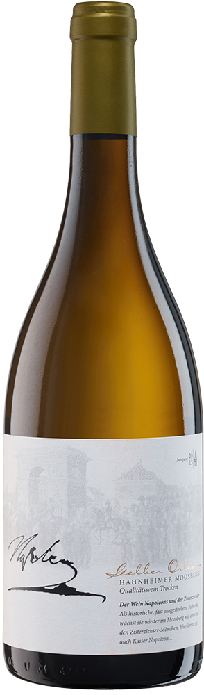 2024 Gelber Orleans Hahnheimer Moosberg