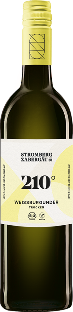 2024 180° Erkundung Weißburgunder BIO 2024 180° Erkundung Weißburgunder BIO