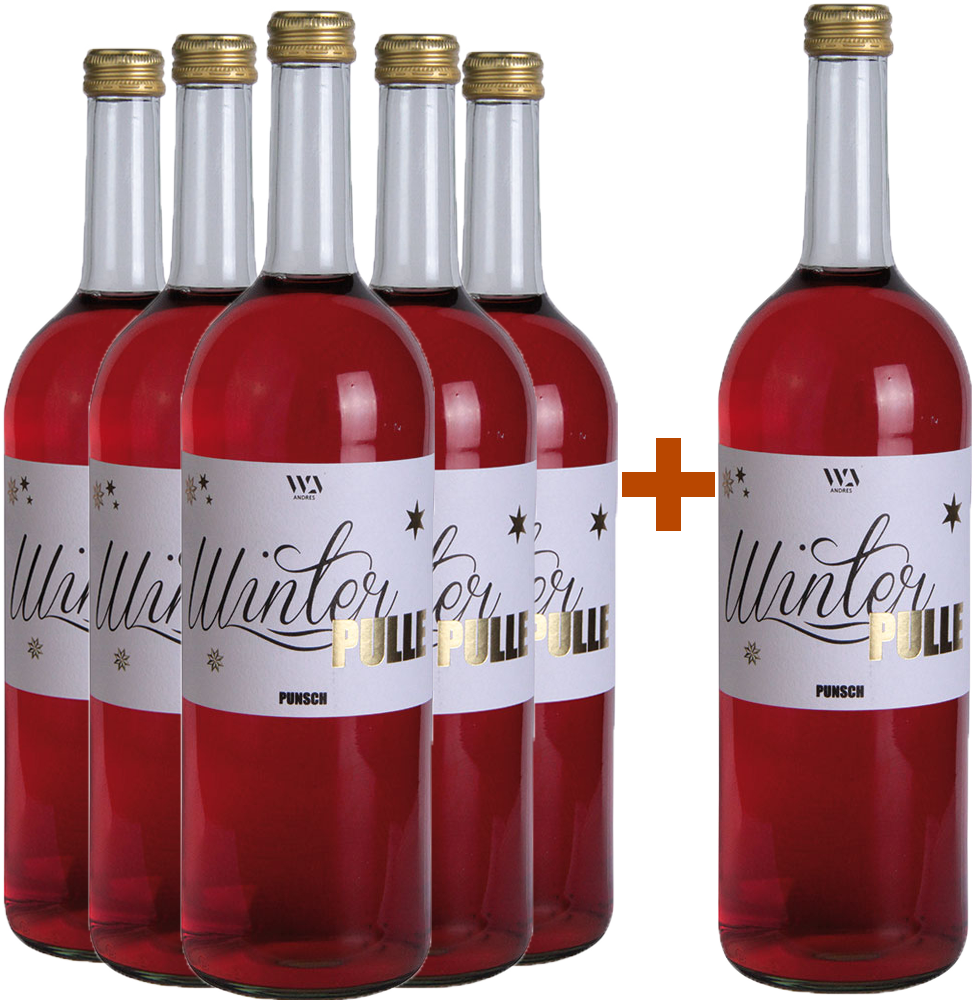 5+1 Winterpunsch alkoholfrei 1,0 L
