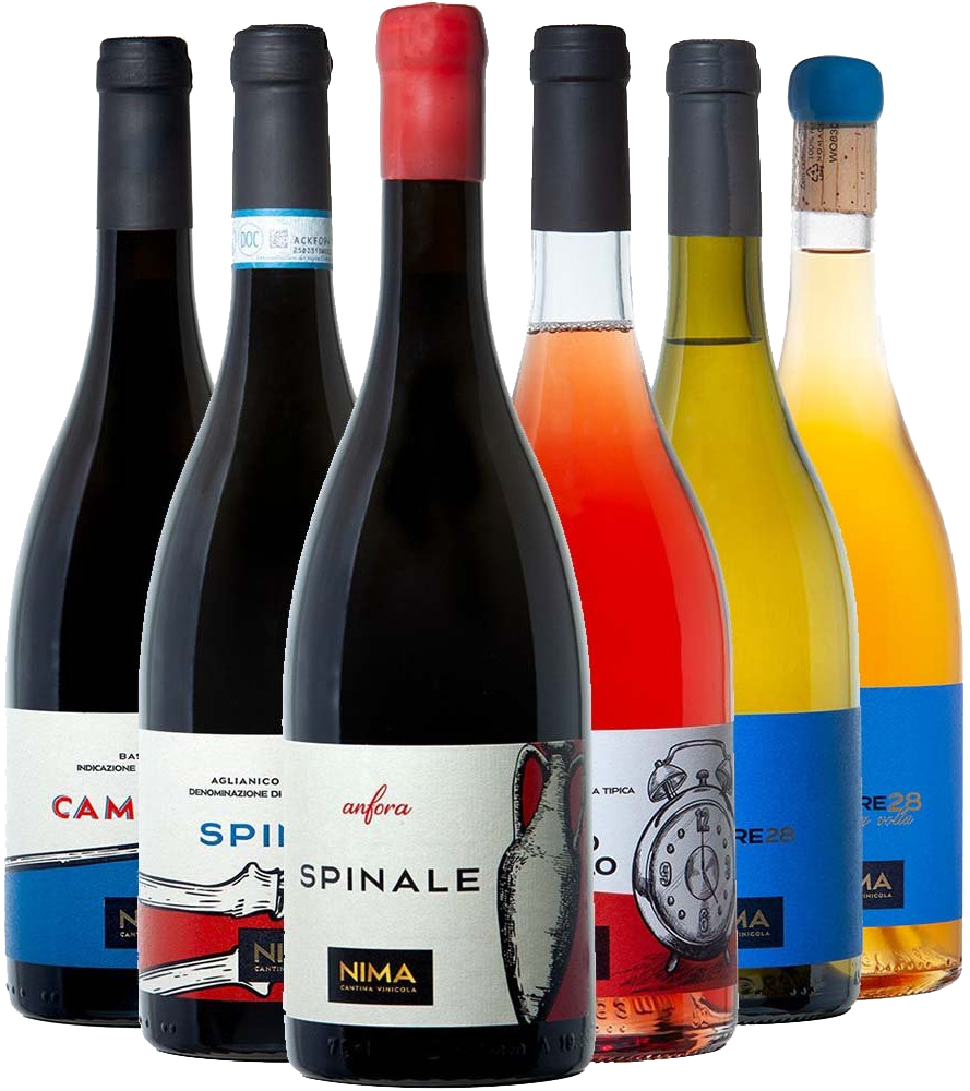 Nima Kennenlern-Paket Nima Kennenlern-Paket