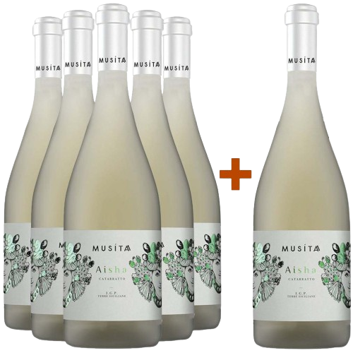5+1 Paket Aysha Catarratto Terre Siciliane IGP 5+1 Paket Aysha Catarratto Terre Siciliane IGP