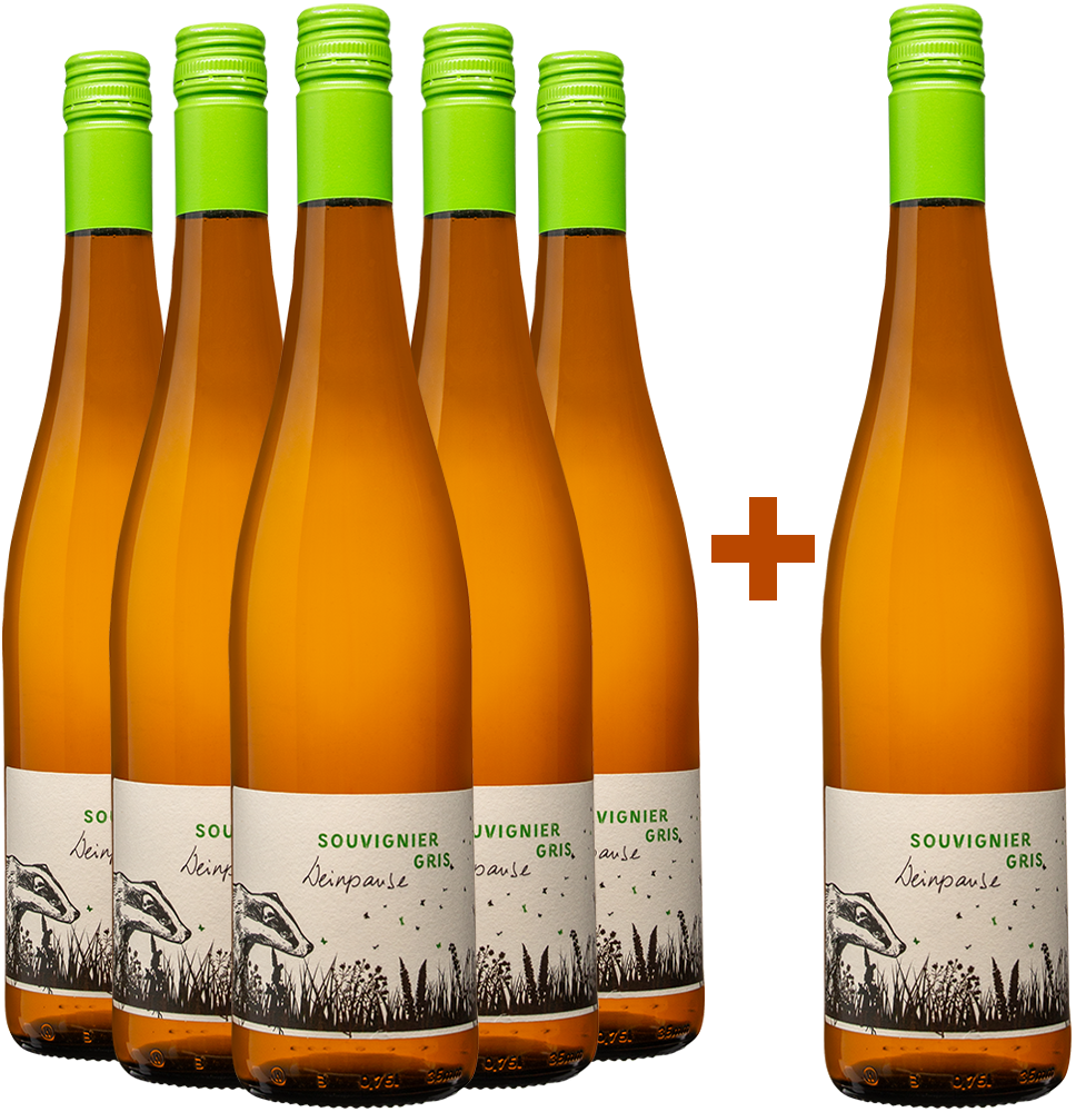 5+1 Paket Souvignier Gris trocken