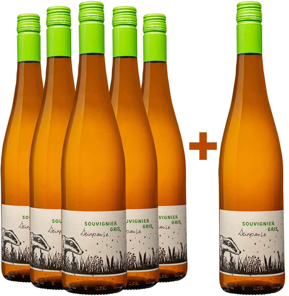 5+1 Paket Souvignier Gris trocken 5+1 Paket Souvignier Gris trocken