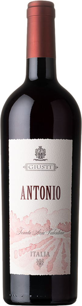2020 Antonio Rosso Asolo Montello DOC 2020 Antonio Rosso Asolo Montello DOC