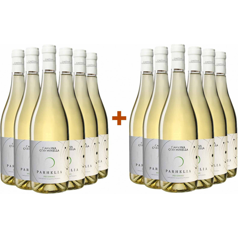 6+6 Paket Parhelia Pecorino Colli Aprutini IGP