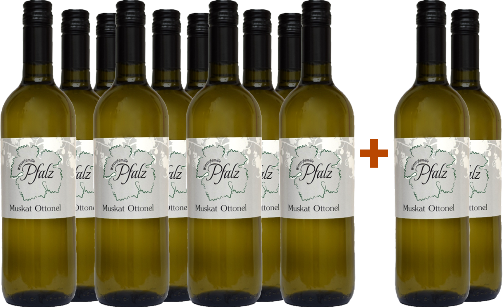 Winzerfamilie Pfalz 10+2 Paket Muskat Ottonel trocken
