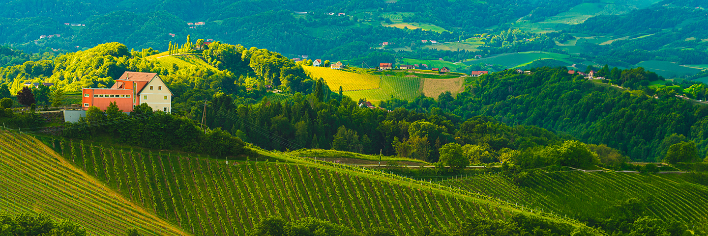 banner-Gutschein (1)