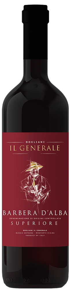 2023 Superiore Barbera d'Alba DOC 2023 Superiore Barbera d'Alba DOC