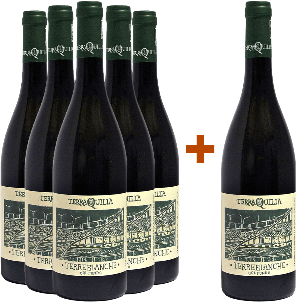 5+1 Paket Terrebianche col fondo Emilia IGP BIO BIO 5+1 Paket Terrebianche col fondo Emilia IGP BIO BIO