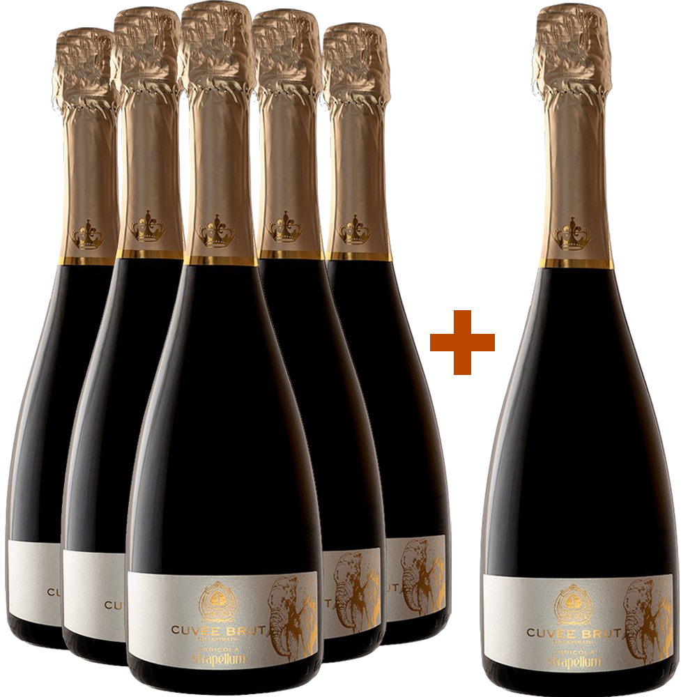 5+1 Paket Spumante Cuvèe Millesimato 5+1 Paket Spumante Cuvèe Millesimato