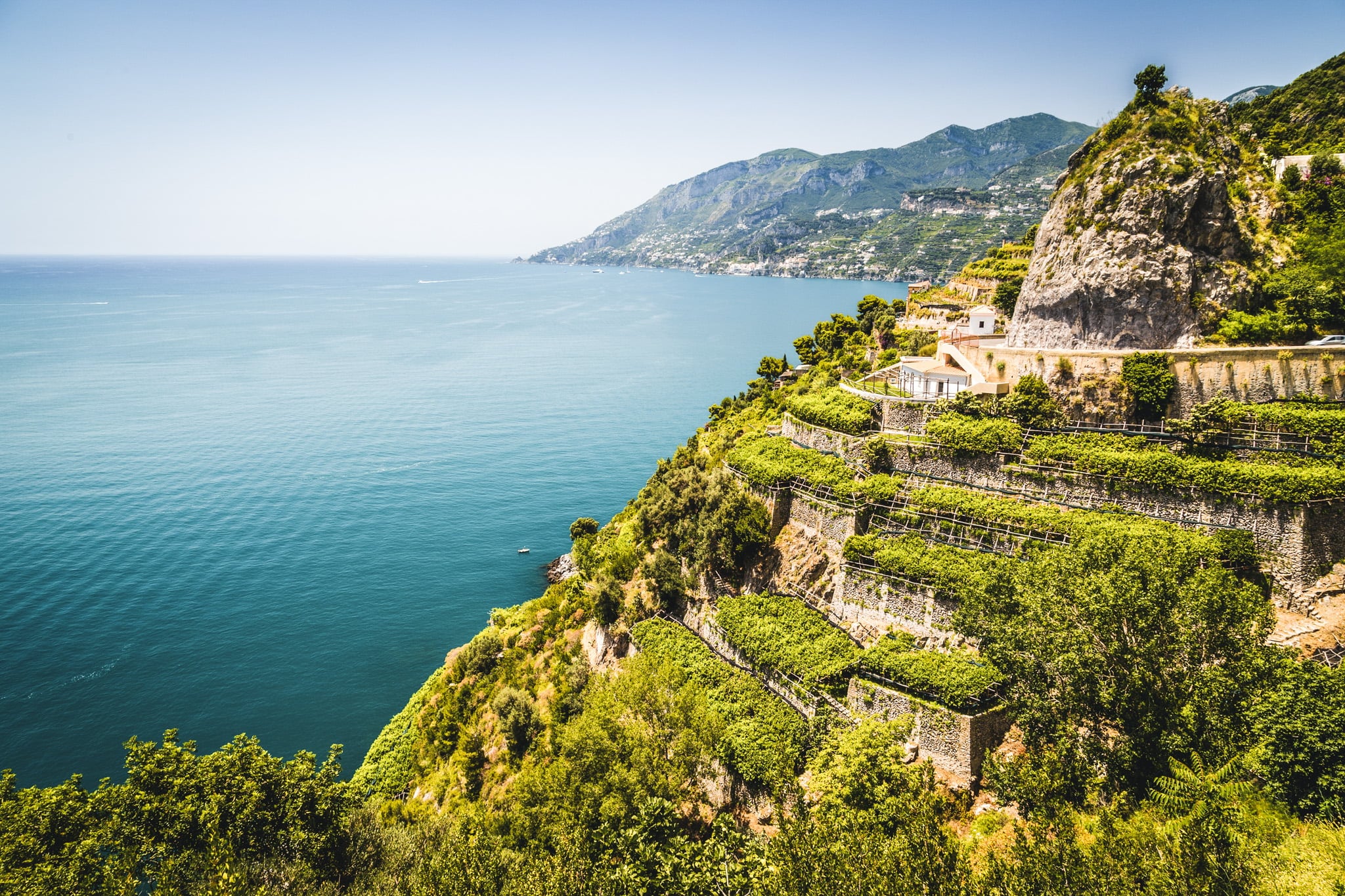 cliff vineyard cliff vineyard