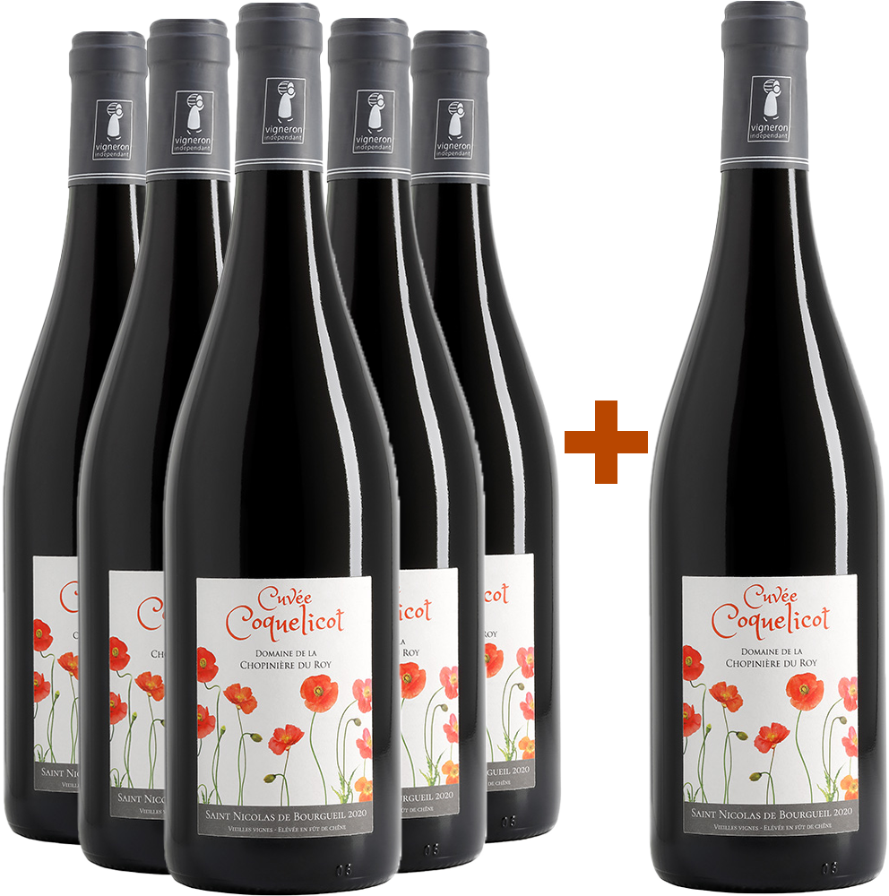 5+1 2023 Cuvée "Coquelicot" Saint Nicolas de Bourgueil AOP trocken