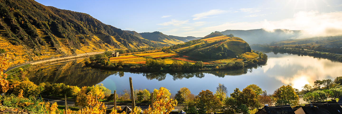banner-mosel (2) banner-mosel (2)