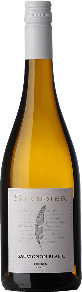 2024 Sauvignon Blanc BIO 2024 Sauvignon Blanc BIO