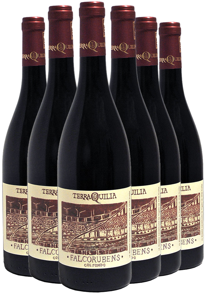 Falcorubens col fondo Emilia IGP-Paket BIO Falcorubens col fondo Emilia IGP-Paket BIO