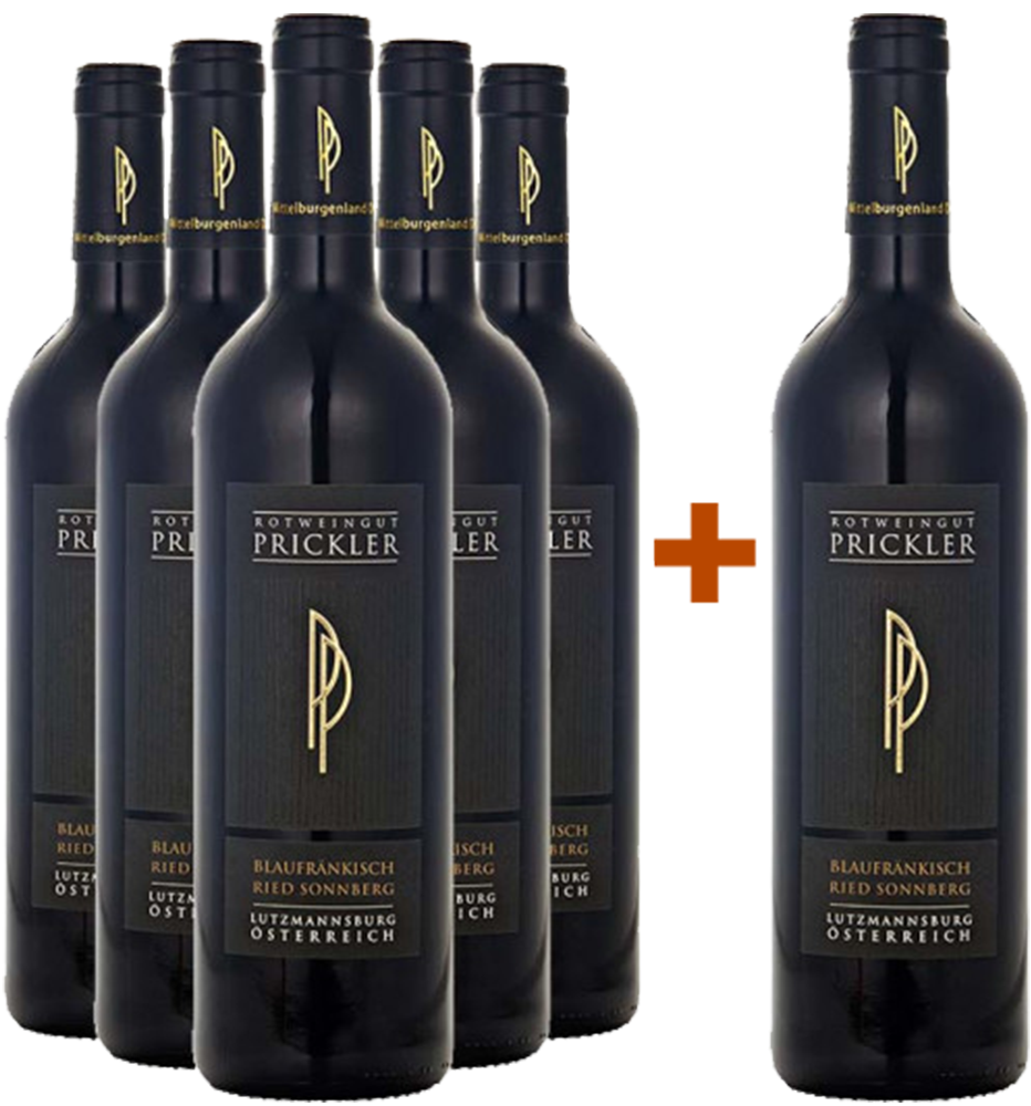 5+1 Paket Ried Sonnberg Blaufränkisch Mittelburgenland DAC