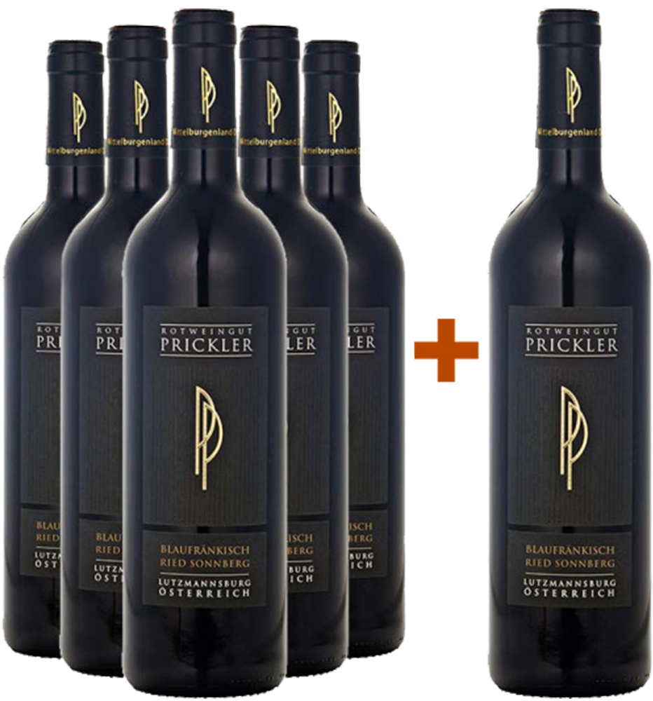 5+1 Paket Ried Sonnberg Blaufränkisch Mittelburgenland DAC 5+1 Paket Ried Sonnberg Blaufränkisch Mittelburgenland DAC