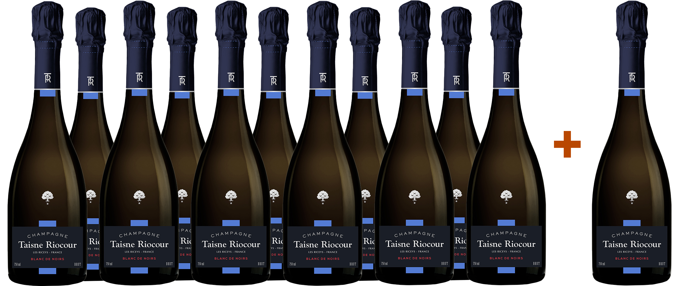 11+1 Paket Blanc de Noirs Champagne AOP 11+1 Paket Blanc de Noirs Champagne AOP