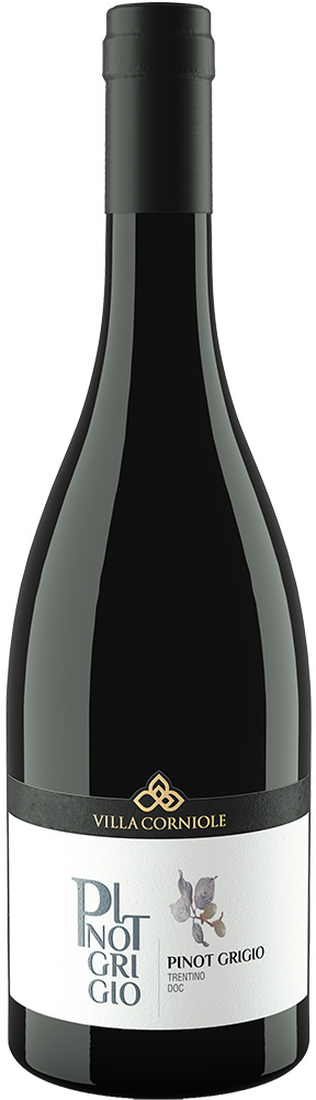 2023 Pinot Grigio Vigneti delle Dolomiti IGP 2023 Pinot Grigio Vigneti delle Dolomiti IGP