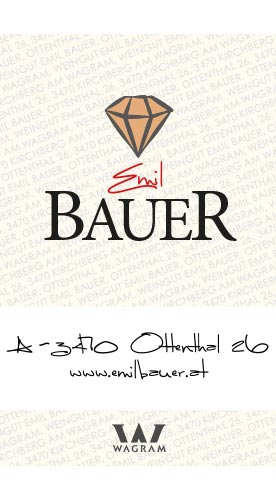 2023 Gr. Veltliner Riede Kitzbühel