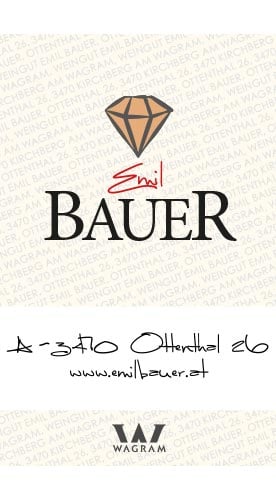 2023 Gr. Veltliner Riede Kitzbühel 2023 Gr. Veltliner Riede Kitzbühel
