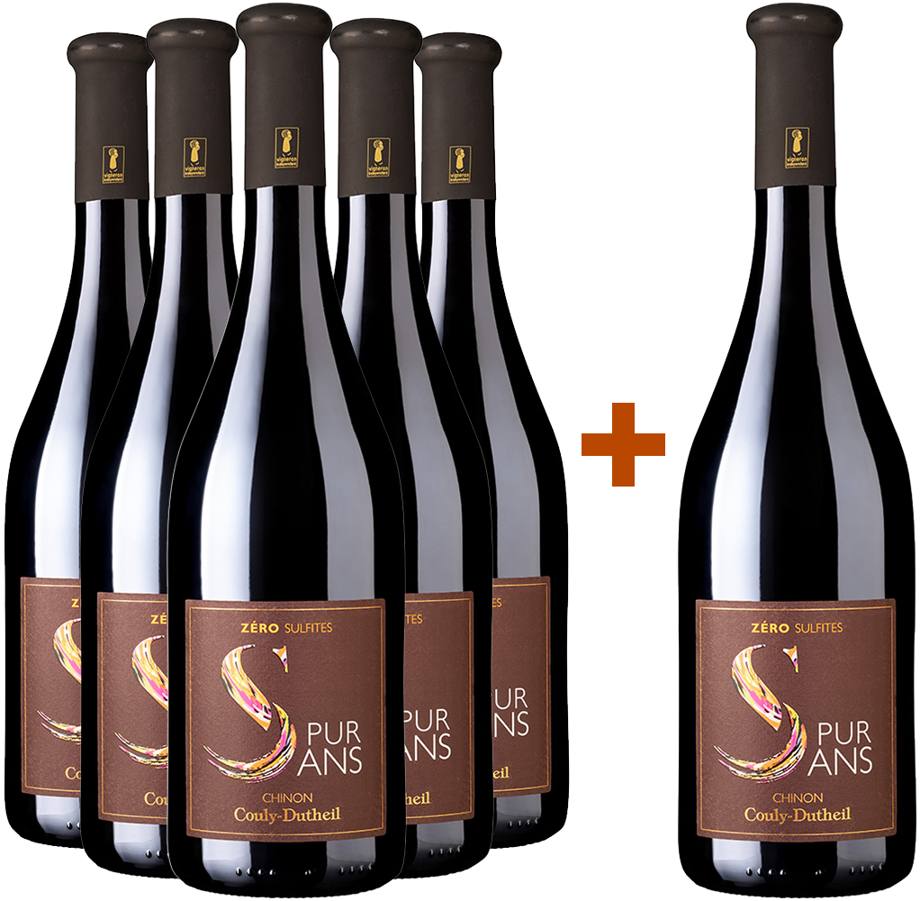 5+1 Paket Pur Sans 2023 5+1 Paket Pur Sans 2023