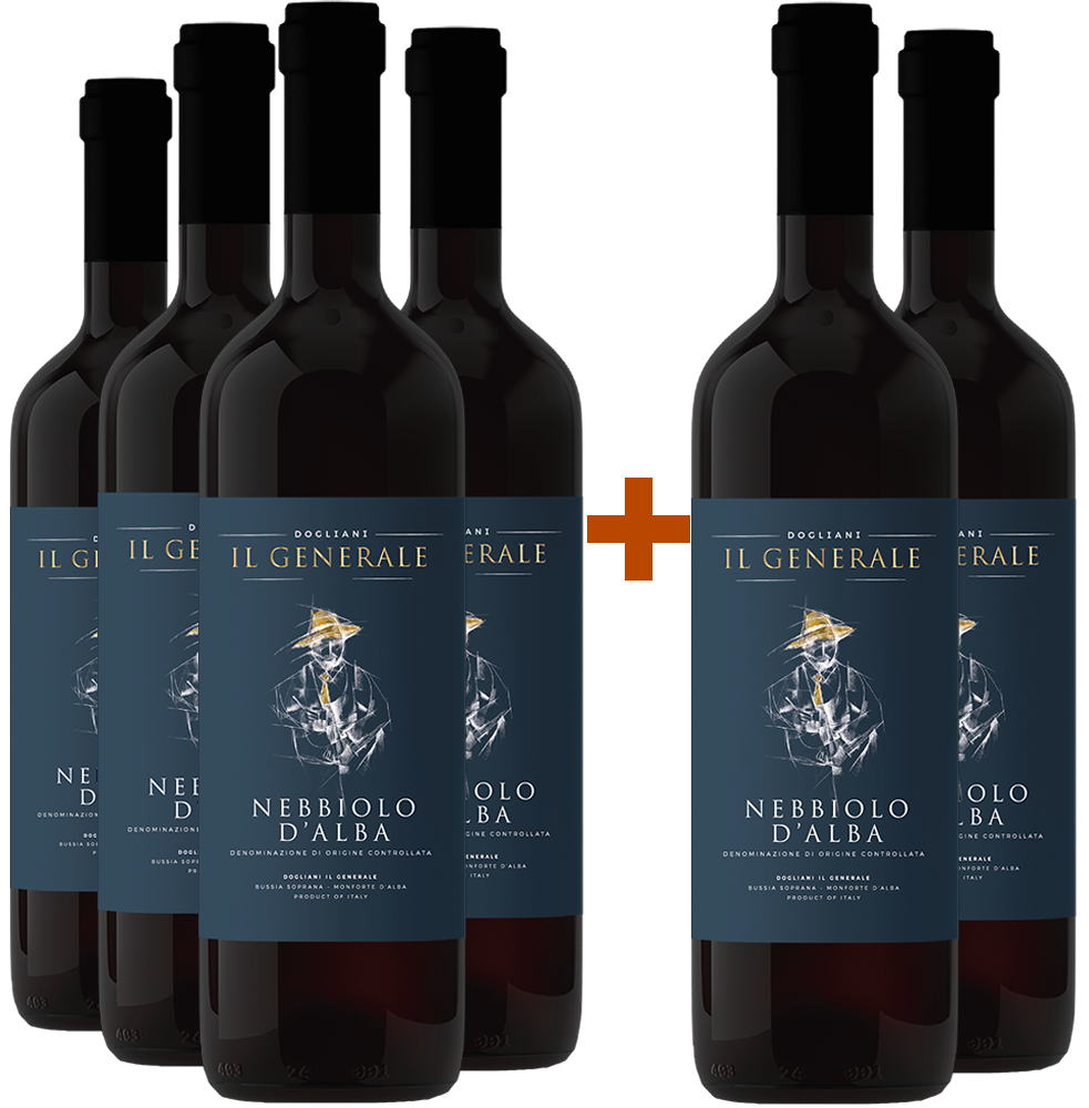 4+2 Paket Nebbiolo d'Alba DOC BIO 4+2 Paket Nebbiolo d'Alba DOC BIO