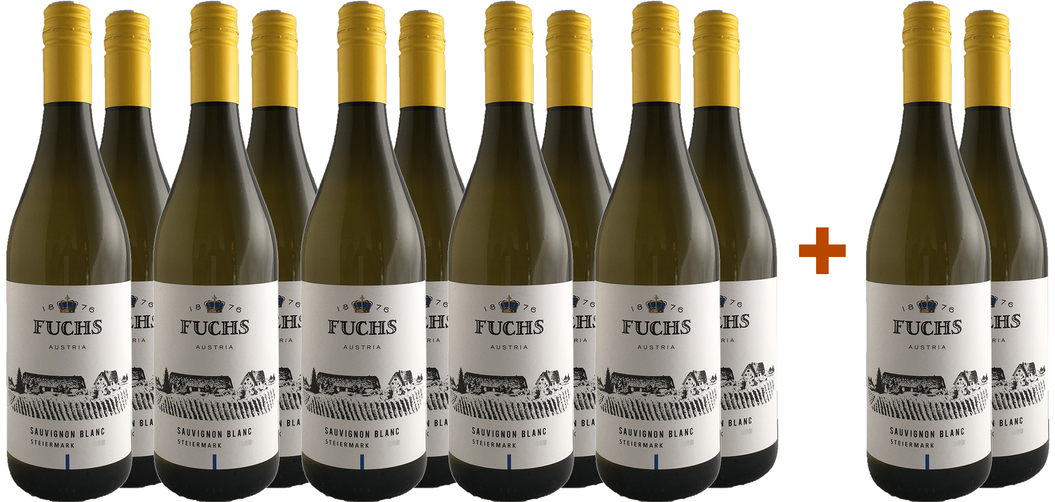 10+2 2024 Steiermark Sauvignon Blanc Paket