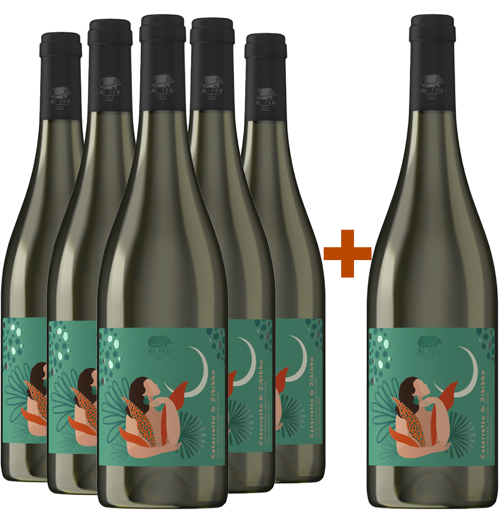 5+1 Paket Catarratto Zibibbo Terre Siciliane IGP 5+1 Paket Catarratto Zibibbo Terre Siciliane IGP
