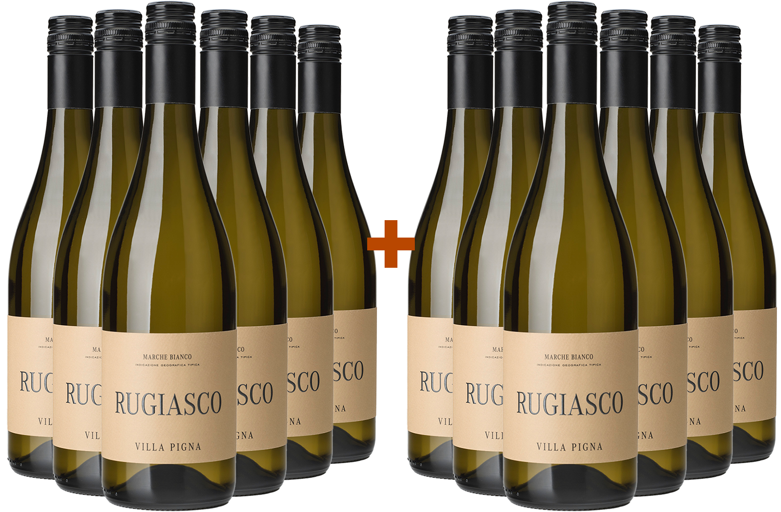 6+6 Paket Rugiasco Marche IGP