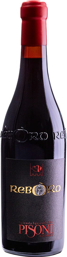 2021 Reboro Vigneti delle Dolomiti IGP BIO 2021 Reboro Vigneti delle Dolomiti IGP BIO