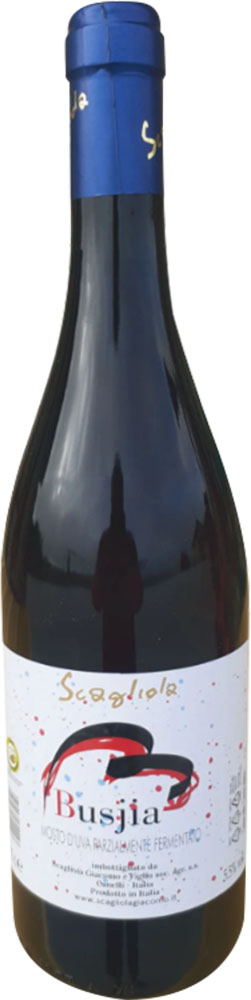 Busjia Mosto parzialmente fermentato Busjia Mosto parzialmente fermentato