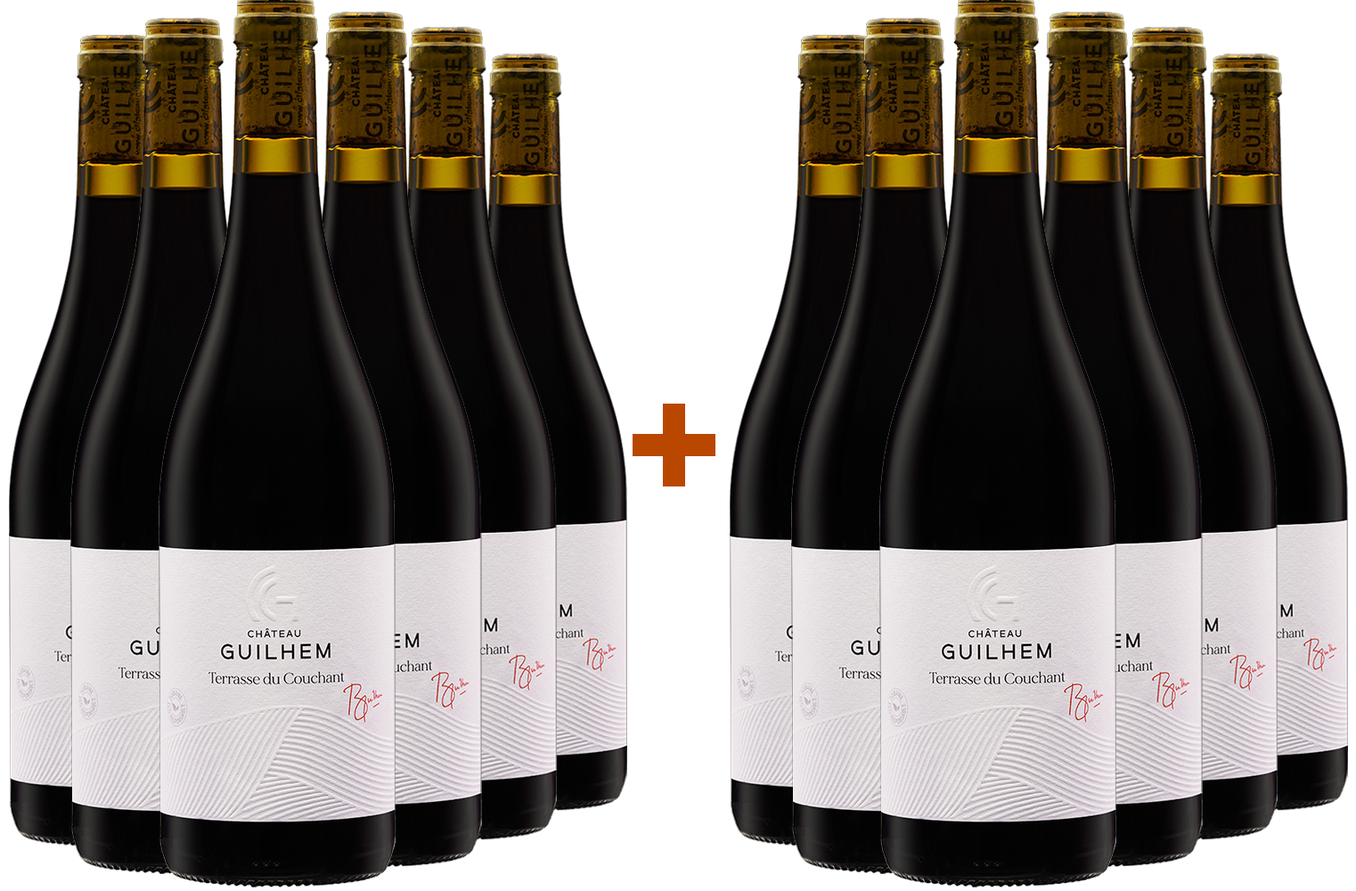 6+6 "Terrasses du Couchant" Malepère Rouge BIO 6+6 "Terrasses du Couchant" Malepère Rouge BIO