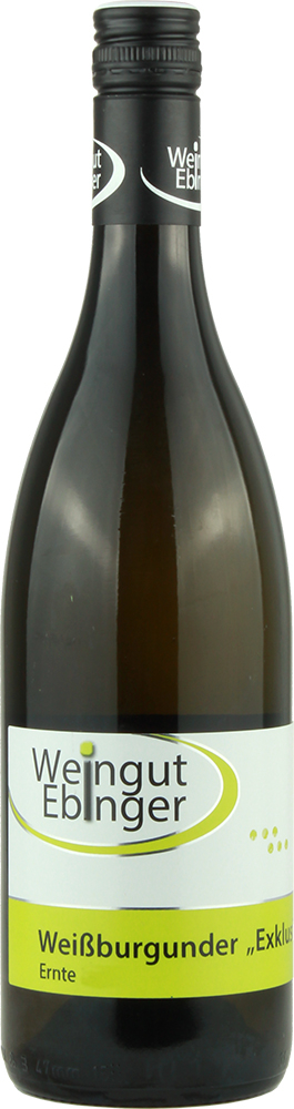 2019 Weißburgunder