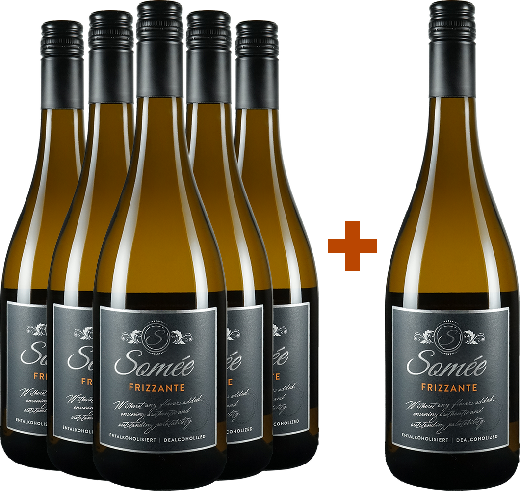 5+1 Somée Frizz alkoholfrei Paket