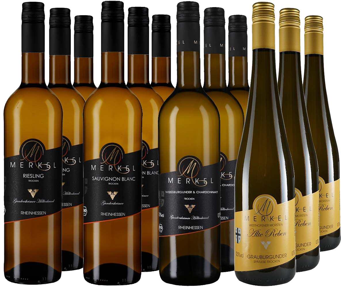 Großes Weißweinpaket BIO