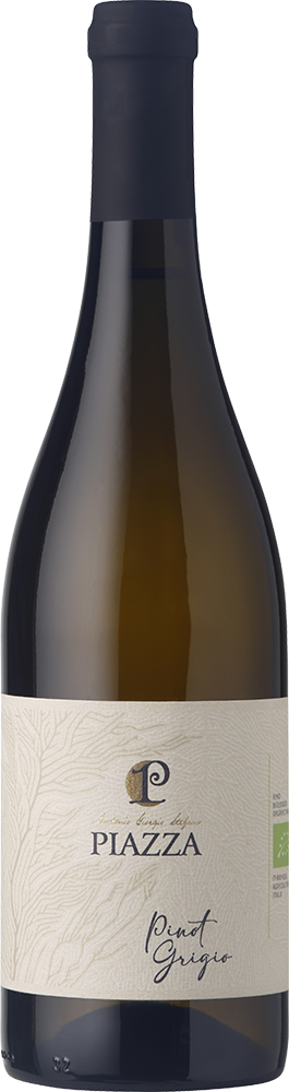2024 Pinot Grigio Venezia DOC BIO 2024 Pinot Grigio Venezia DOC BIO