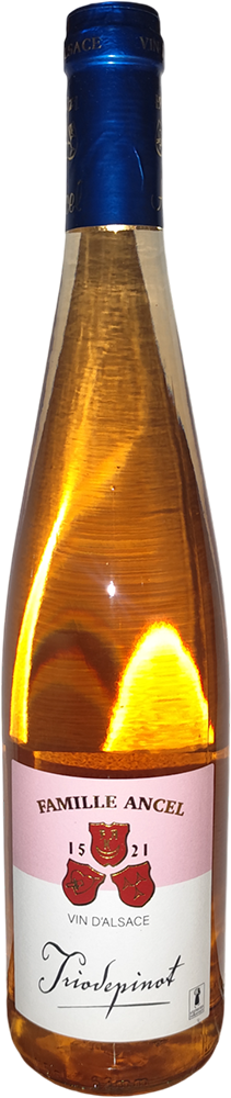 2024 Triodepinot Alsace AOP