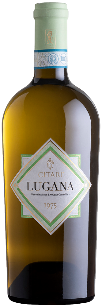 2024 Lugana DOC