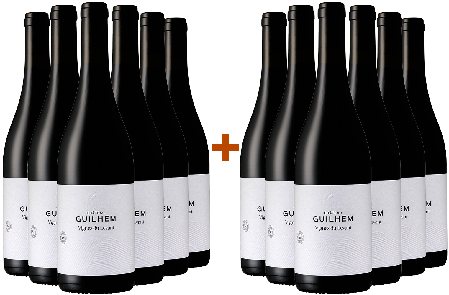 6+6 Paket Cuvée Vignes du Levant Rouge Malepère AOP BIO 6+6 Paket Cuvée Vignes du Levant Rouge Malepère AOP BIO