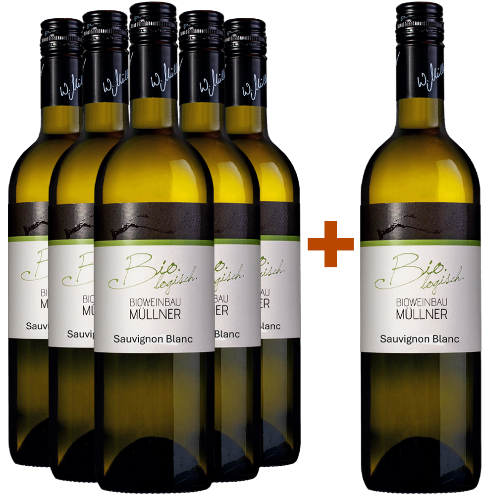 5+1 2025 Sauvignon Blanc BIO Paket - BIO Weinbau Müllner KG BIO