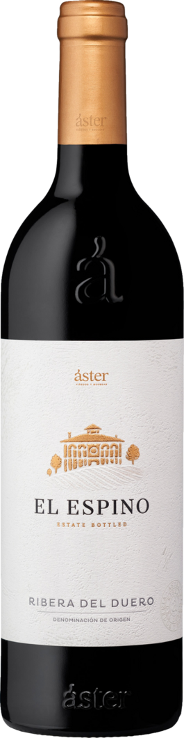 2020 Aster El Espino