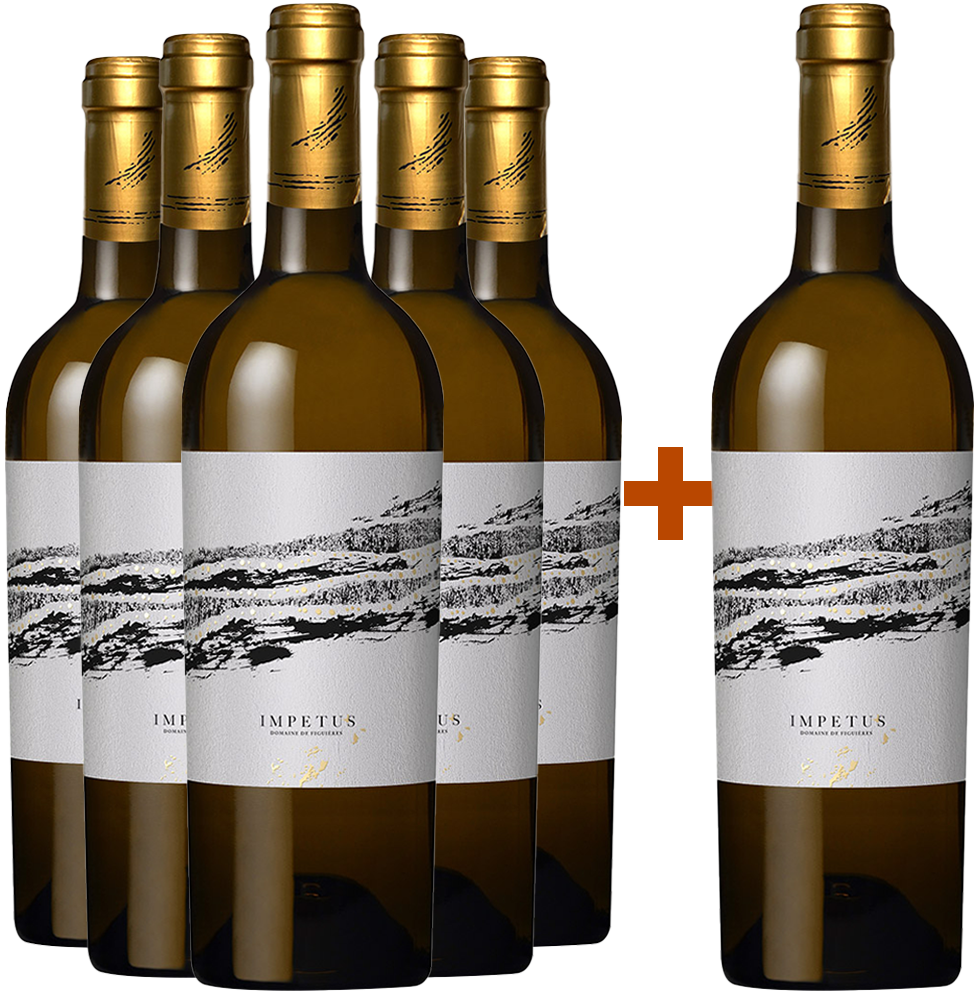 5+1 Paket 2017 Impetus Blanc