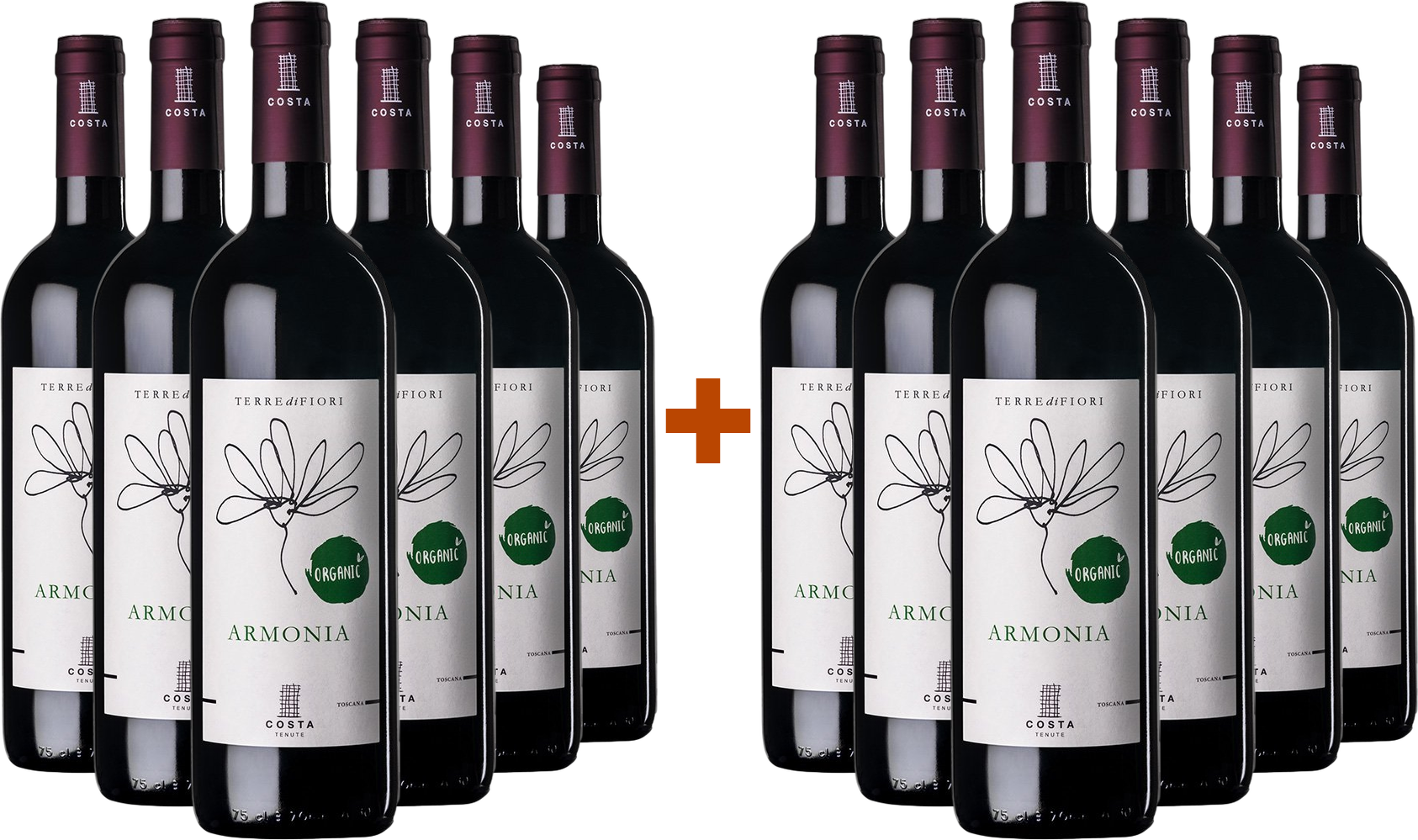 6+6 Paket Terredifiori Armonia Toscana IGP