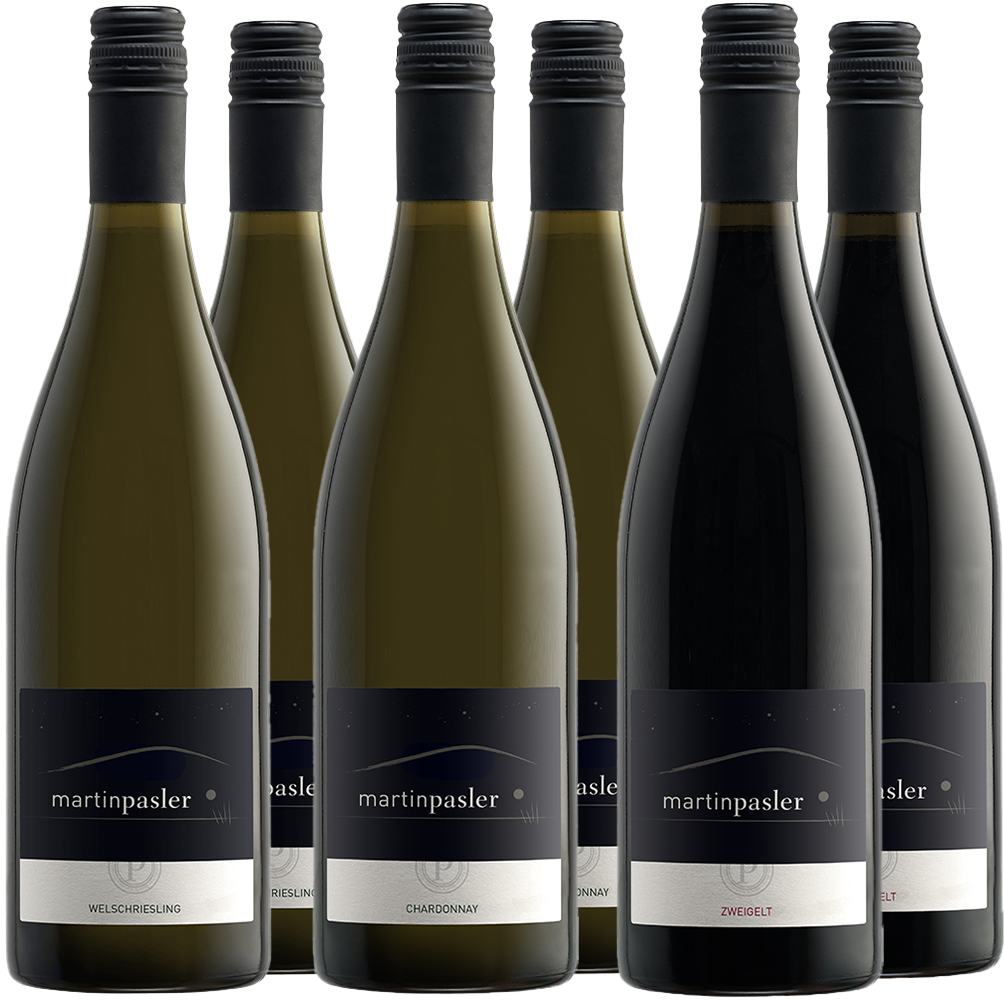 Martin Pasler Kennenlern-Paket Martin Pasler Kennenlern-Paket