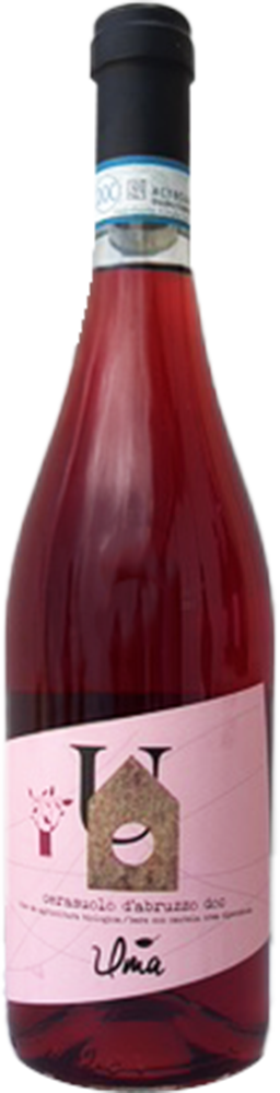 2024 Cerasuolo d’Abruzzo DOC BIO