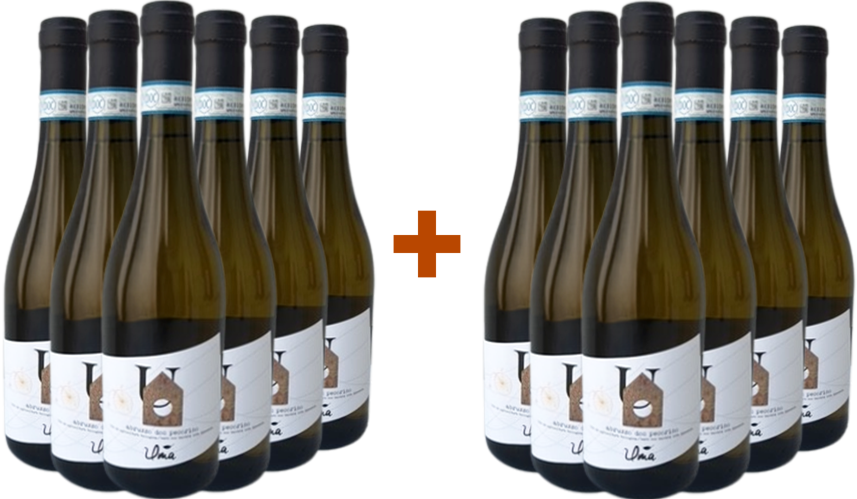 6+6 Paket Pecorino Abruzzo DOC BIO